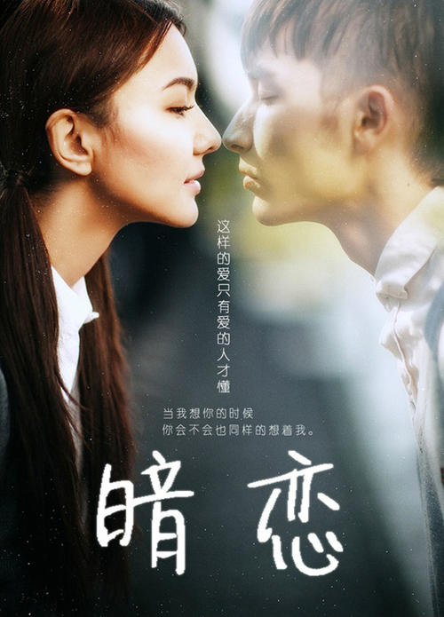 学历证书造假指的是